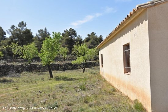 Finca en venta en Valjunquera (Teruel)