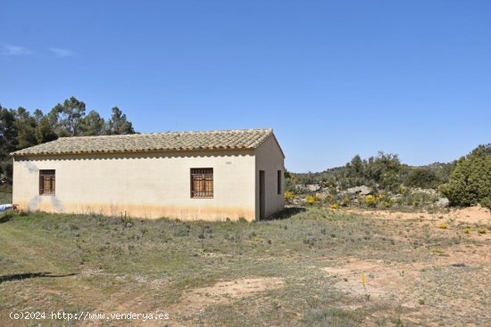 Finca en venta en Valjunquera (Teruel)