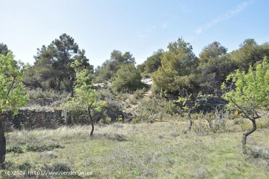 Finca en venta en Valjunquera (Teruel)