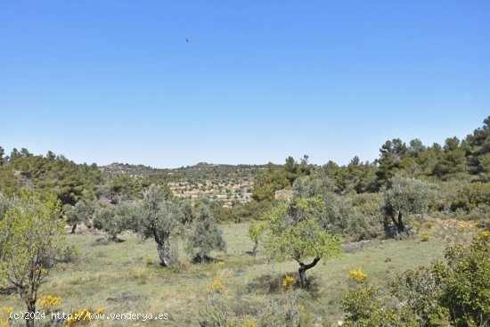 Finca en venta en Valjunquera (Teruel)