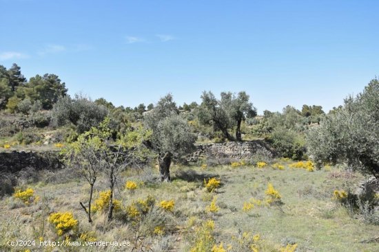 Finca en venta en Valjunquera (Teruel)