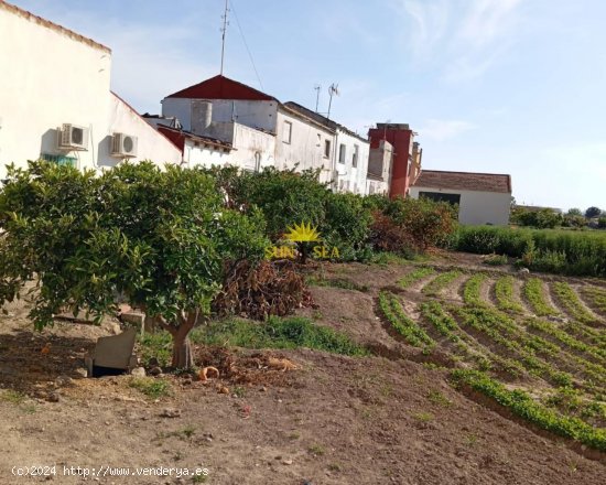  Finca en venta en Algorfa (Alicante) 