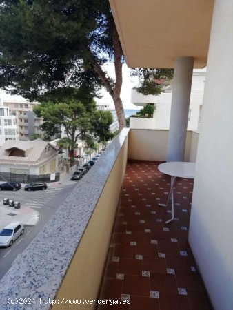 Apartamento en alquiler en Benalmádena (Málaga)