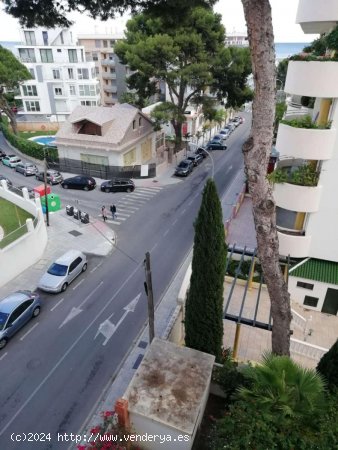 Apartamento en alquiler en Benalmádena (Málaga)