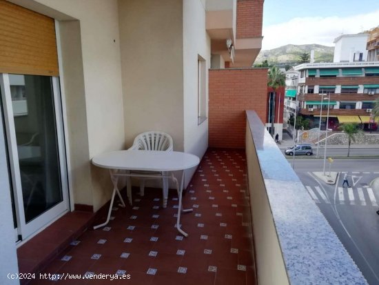 Apartamento en alquiler en Benalmádena (Málaga)