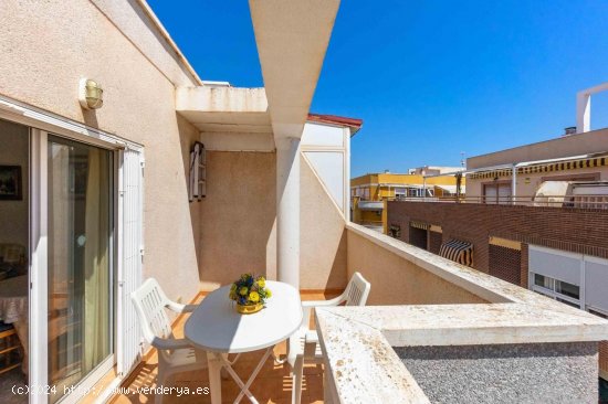  Piso en venta en Torrevieja (Alicante) 