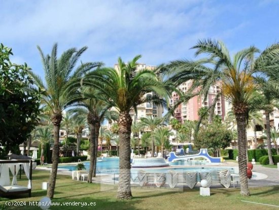 Apartamento en venta en Torrevieja (Alicante)