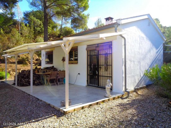 Finca en venta en Caspe (Zaragoza)