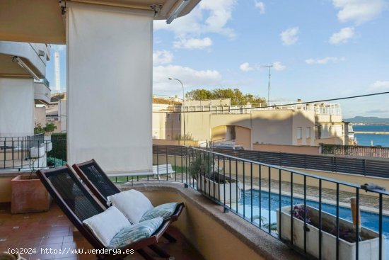 Apartamento en alquiler en Palma de Mallorca (Baleares)