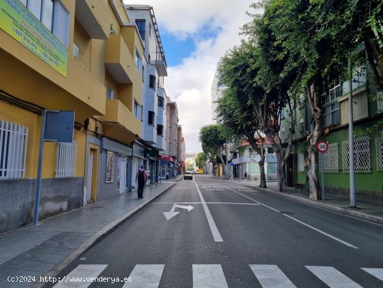 Local en alquiler en Las Palmas de Gran Canaria (Las Palmas)