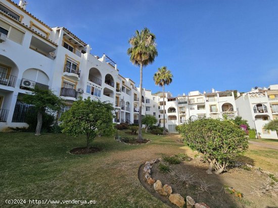 Apartamento en alquiler en Estepona (Málaga)