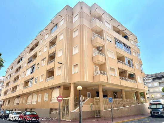 Apartamento en venta en Guardamar del Segura (Alicante)