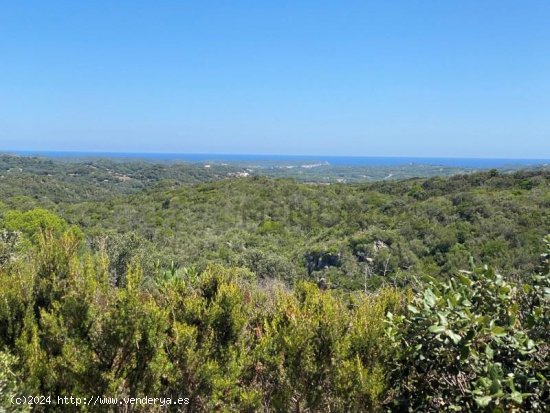 Parcela en venta en Mahón (Baleares)