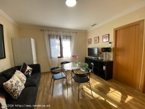 Apartamento en alquiler en Granada (Granada)