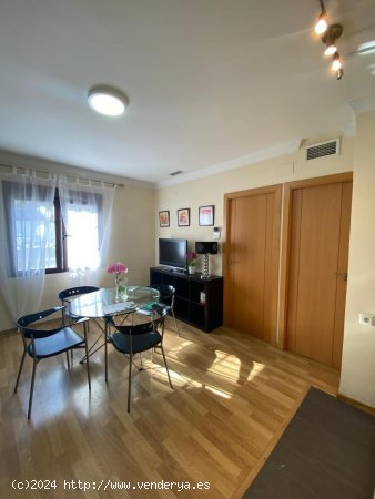 Apartamento en alquiler en Granada (Granada)