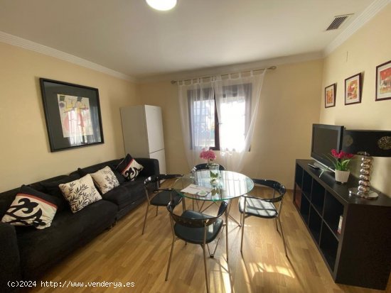 Apartamento en alquiler en Granada (Granada)