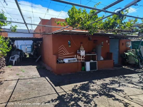 Finca en venta en Telde (Las Palmas)