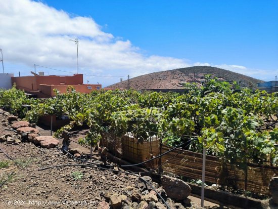 Finca en venta en Telde (Las Palmas)