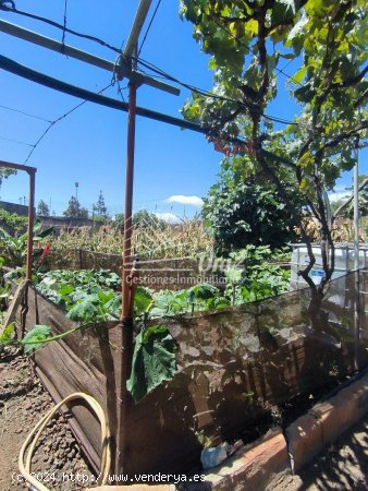 Finca en venta en Telde (Las Palmas)