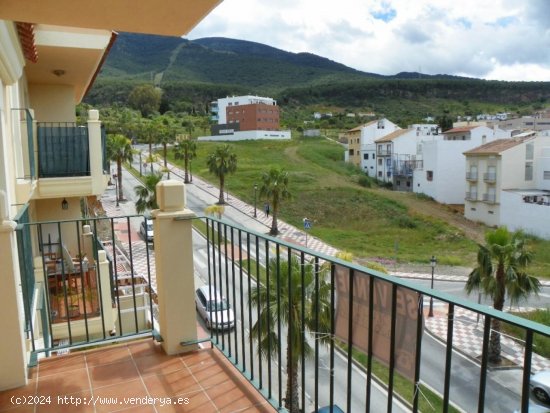 Apartamento en venta en Alhaurín el Grande (Málaga)