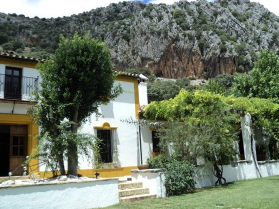 Villa en venta en Benaoján (Málaga)