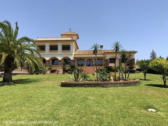 Villa en alquiler en Marbella (Málaga)