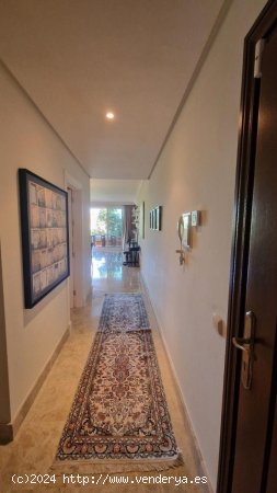 Apartamento en alquiler en Marbella (Málaga)