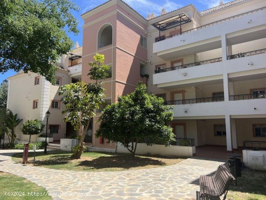  Apartamento en alquiler en Marbella (Málaga) 