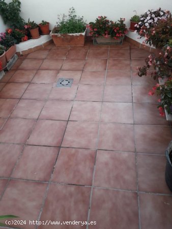 Apartamento en venta en Marbella (Málaga)