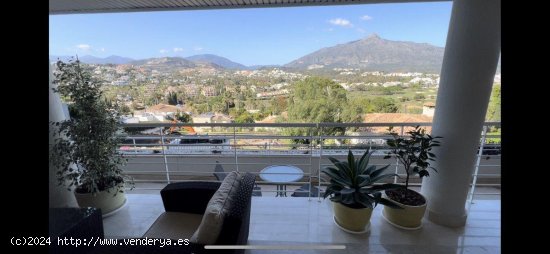 Apartamento en alquiler en Marbella (Málaga)