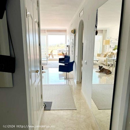 Apartamento en alquiler en Marbella (Málaga)