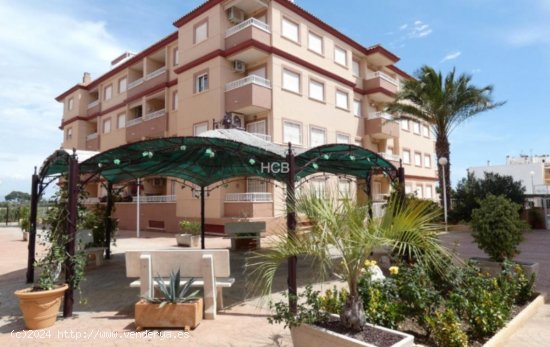 Apartamento en venta en Algorfa (Alicante)