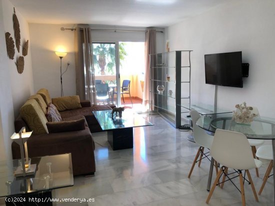 Apartamento en alquiler en Marbella (Málaga)