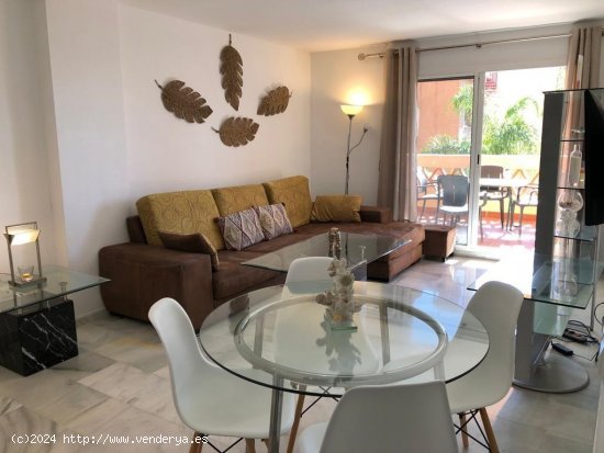 Apartamento en alquiler en Marbella (Málaga)