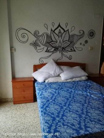 Apartamento en alquiler en Granada (Granada)