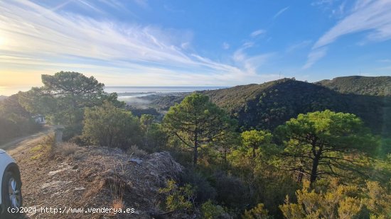 Parcela en venta en Estepona (Málaga)