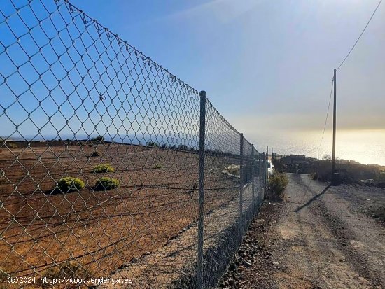 Finca en venta en Guía de Isora (Tenerife)