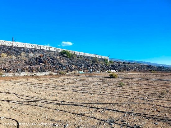 Finca en venta en Guía de Isora (Tenerife)