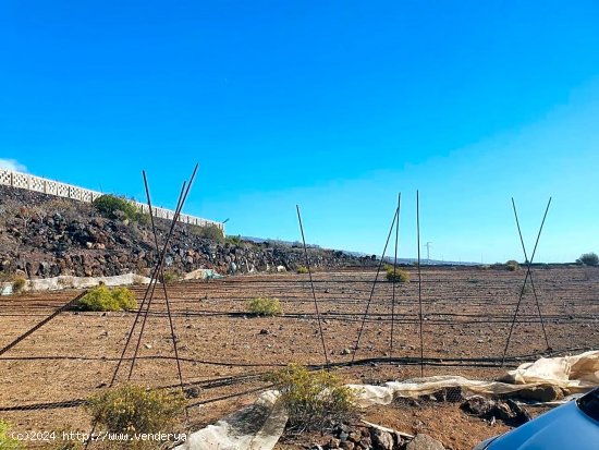 Finca en venta en Guía de Isora (Tenerife)