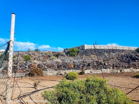 Finca en venta en Guía de Isora (Tenerife)