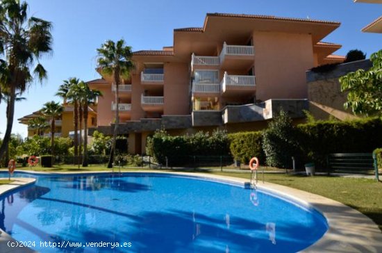 Apartamento en alquiler en Benalmádena (Málaga)