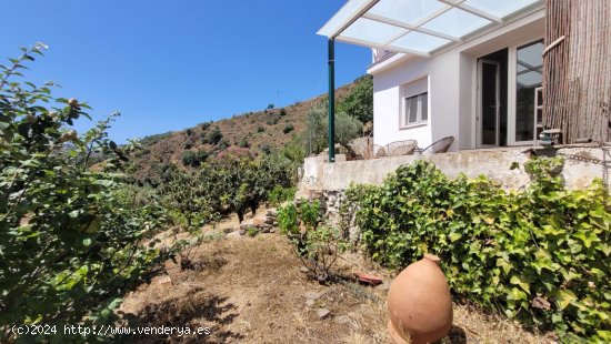 Finca en venta en Árchez (Málaga)