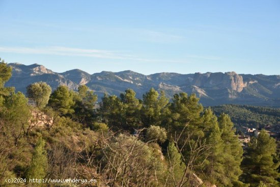  Finca en venta en Lledó (Teruel) 