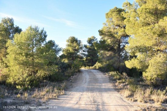 Finca en venta en Lledó (Teruel)