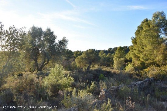 Finca en venta en Lledó (Teruel)