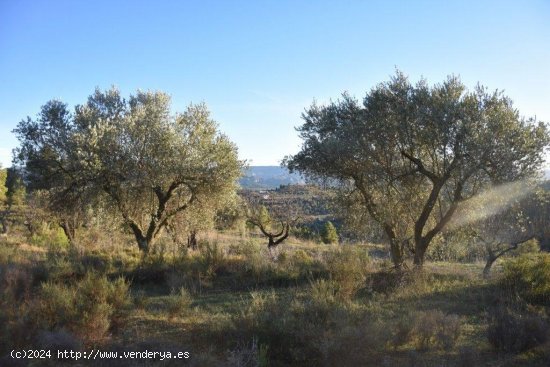 Finca en venta en Lledó (Teruel)