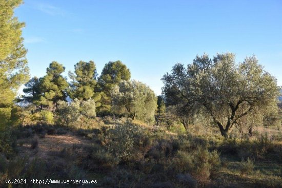 Finca en venta en Lledó (Teruel)