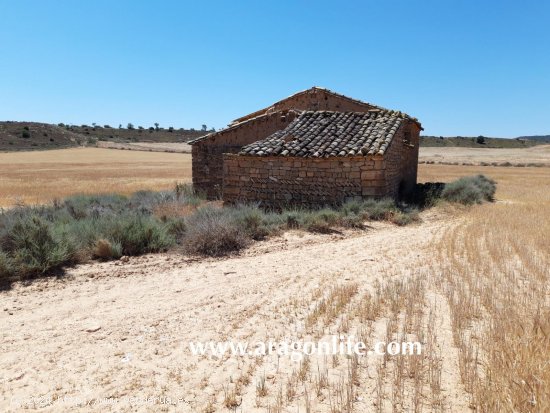 Finca en venta en Ontiñena (Huesca)