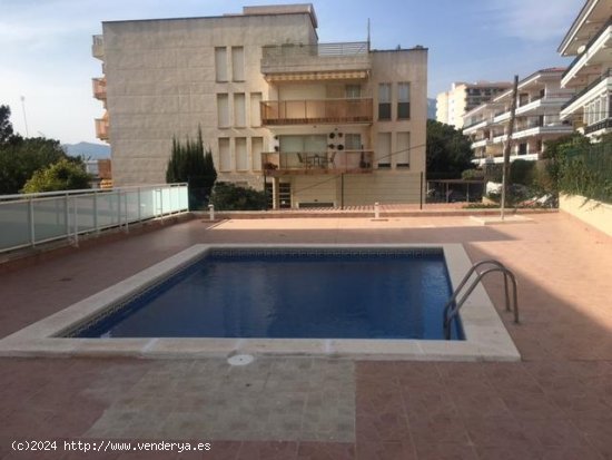 Piso en venta  en Vandellòs i l Hospitalet de l Infant - Tarragona