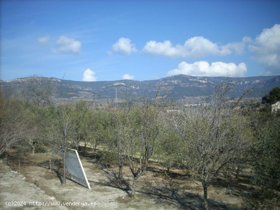 Suelo rústico en venta  en Aleixar, L - Tarragona